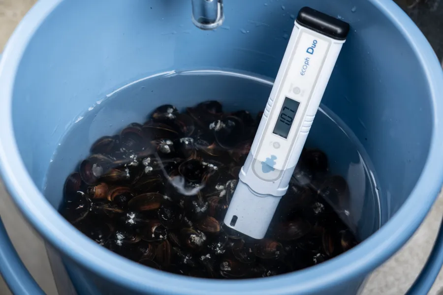 マグネシウムアルカリ水のpH濃度